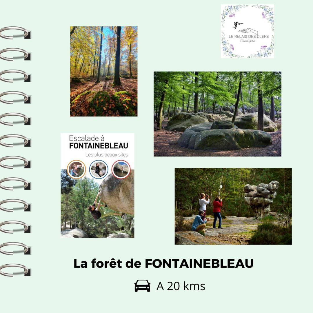 Le Relais Des Clefs - Au Calme Du Gatinais - Escapade A Deux - Terrasse Privee - Wifi - Offre Romantique Sur Demande Valpuiseaux Eksteriør bilde