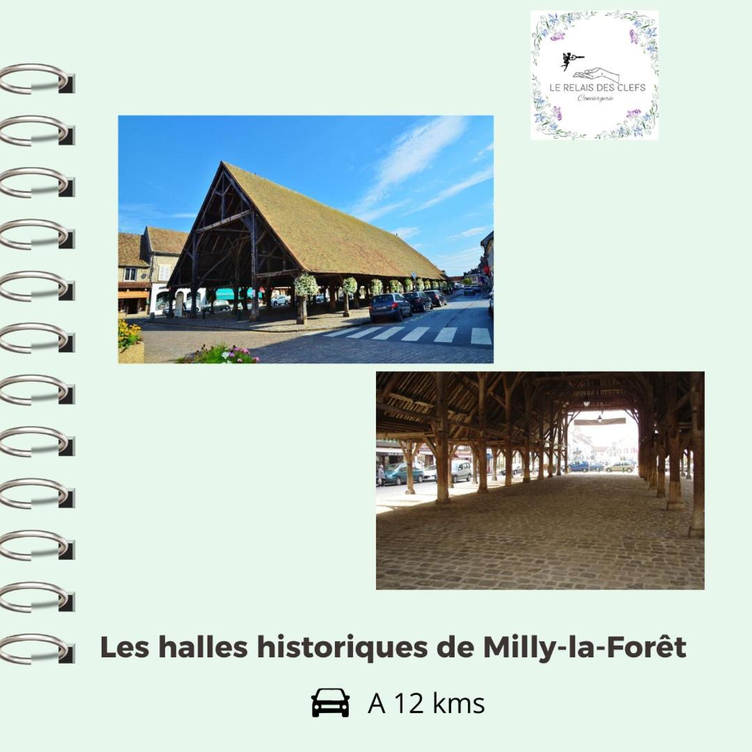 Le Relais Des Clefs - Au Calme Du Gatinais - Escapade A Deux - Terrasse Privee - Wifi - Offre Romantique Sur Demande Valpuiseaux Eksteriør bilde